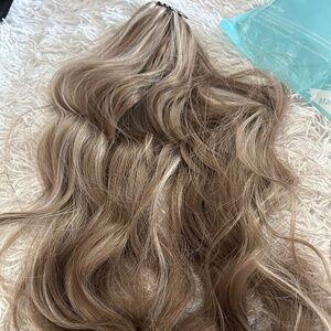 Bloom Beauty Pony Tail Hair Clip ~ 14” in length with highlights